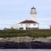 lighthouse_island_seal_machias_v_0314_can0686.jpg